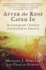 After_the_roof_caved_in